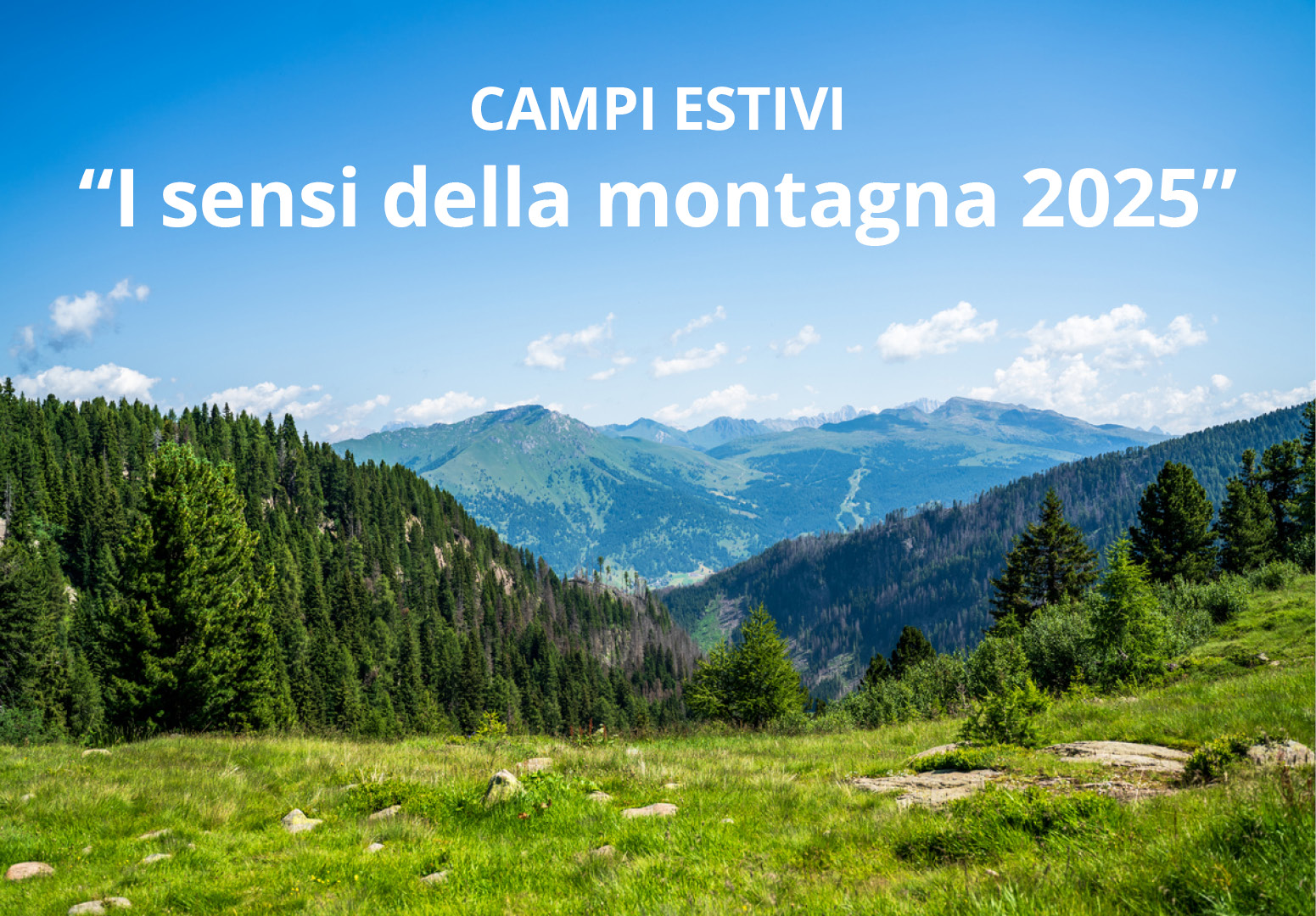Immagine di un prato di montagna con la scritta "Campi estivi 2025: i sensi della montagna 2025" 